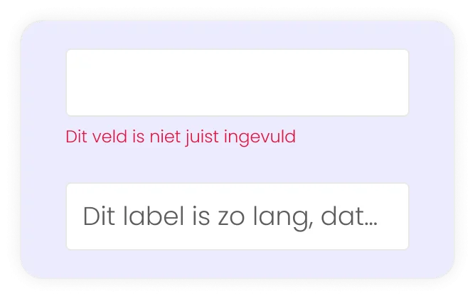 Voorbeeld slechte formulieren op website