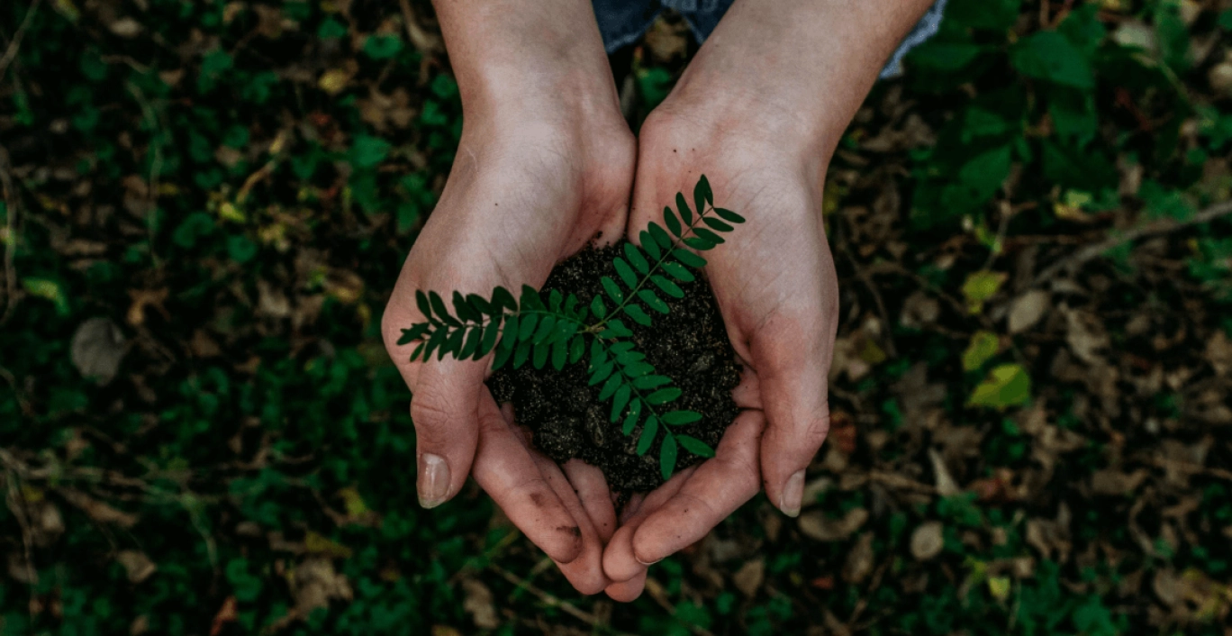 Handen die aarde met een plantje vasthouden.