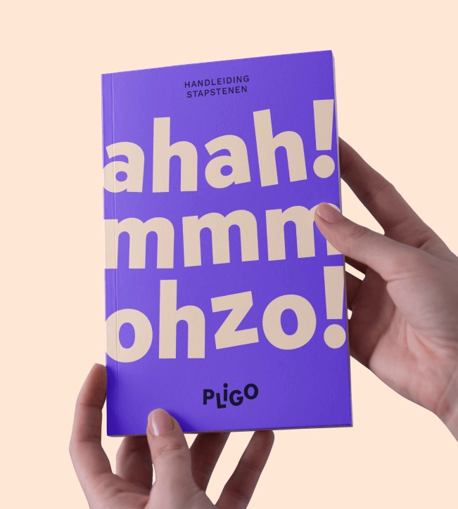 pligo-branding-book.png